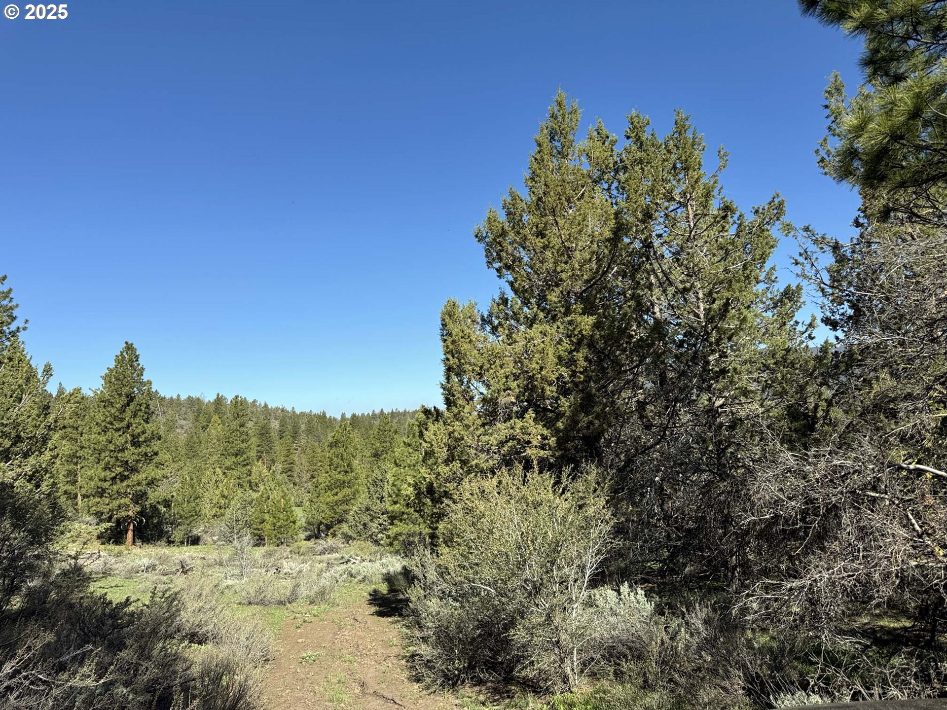 Drews Gap Road, Unit TL 1300 Lakeview, OR 97630 - Photo 7 of 43 Gallery Image 7