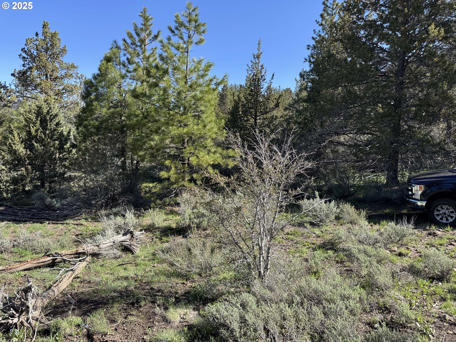Drews Gap Road, Unit TL 1300 Lakeview, OR 97630 - Photo 8 of 43 Gallery Image 8