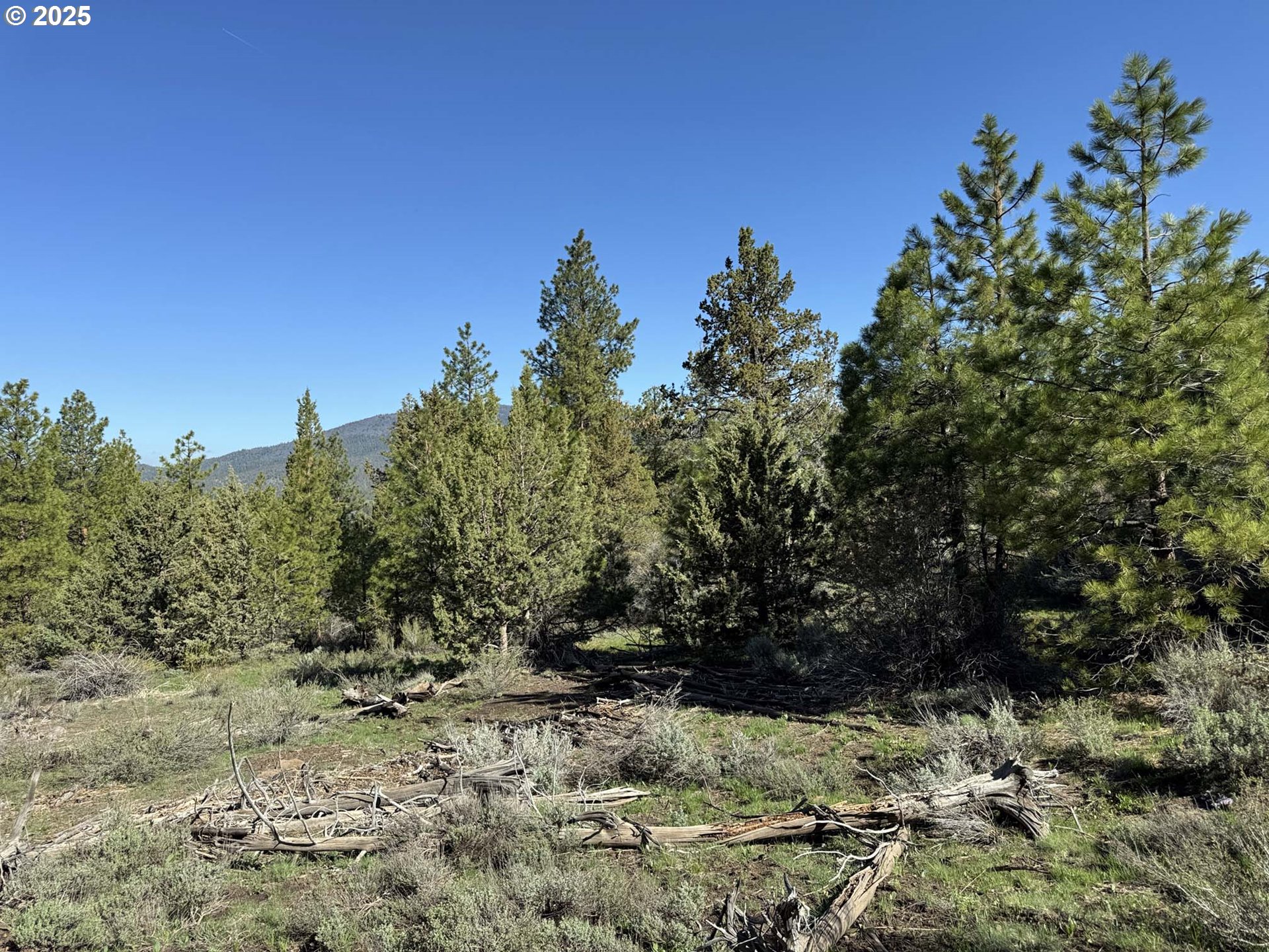 Drews Gap Road, Unit TL 1300 Lakeview, OR 97630 - Photo 9 of 43 Gallery Image 9