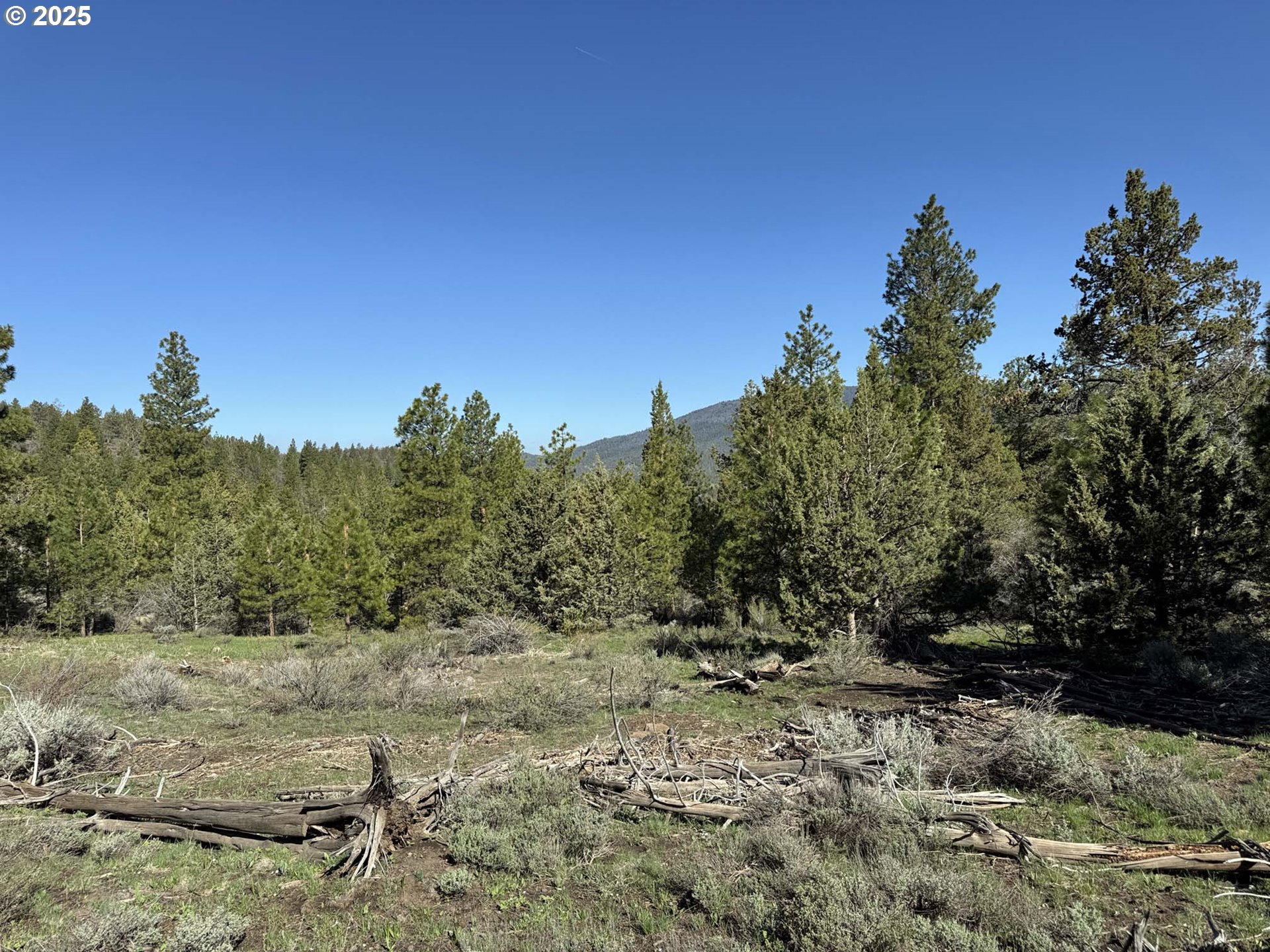 Drews Gap Road, Unit TL 1300 Lakeview, OR 97630 - Photo 10 of 43 Gallery Image 10