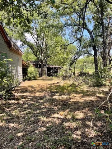 a view of a yard with a tree