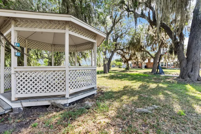 a view of a big yard with plants and large trees
