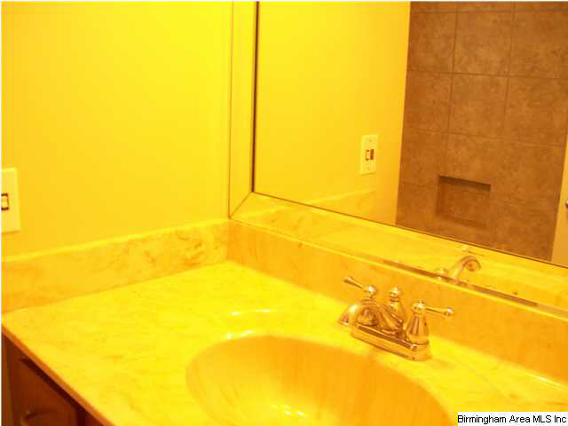 75 Camerons Way West Lincoln, AL 35096 - Photo 6 of 31