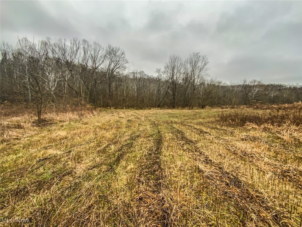 0 Wells Road Middleport, OH 45760 - Photo 12 of 27 View of woods featuring a rural view
