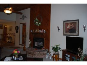 103 Poplar Grove Road Johnson City, TN 37601 - Photo 4 of 24 Fireplace with gas logs