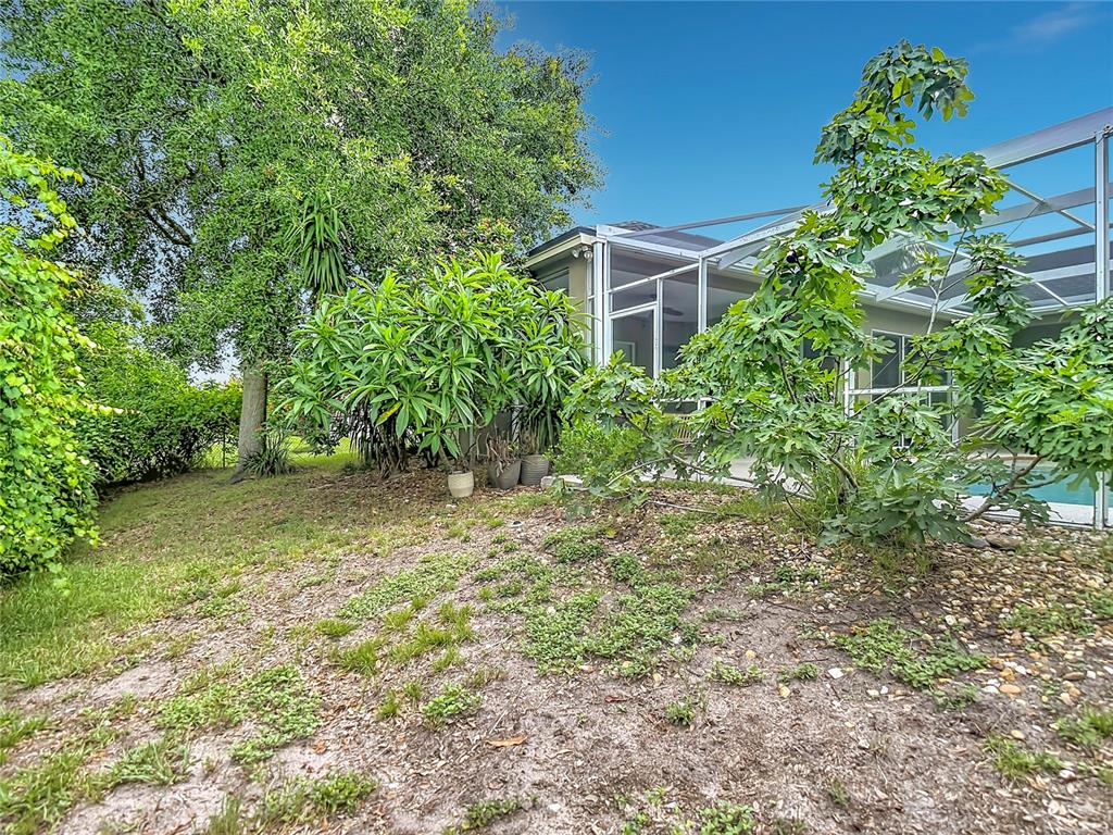 10512 Gooseberry Court Trinity, FL 34655 - Photo 34 of 36