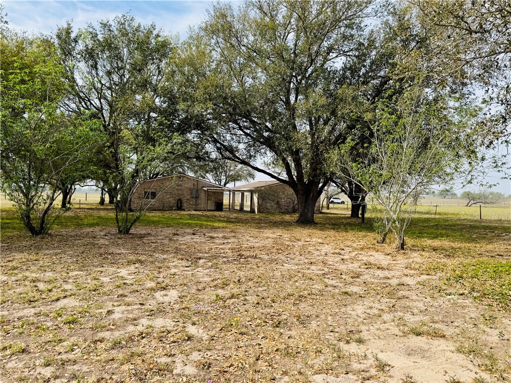 1185 Fm 1540 Sandia, TX 78383 - Photo 23 of 29 a front view of a house with a yard and trees