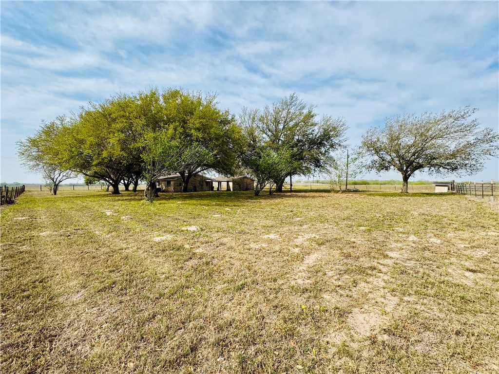 1185 Fm 1540 Sandia, TX 78383 - Photo 28 of 29 a view of a swimming pool and trees in the background