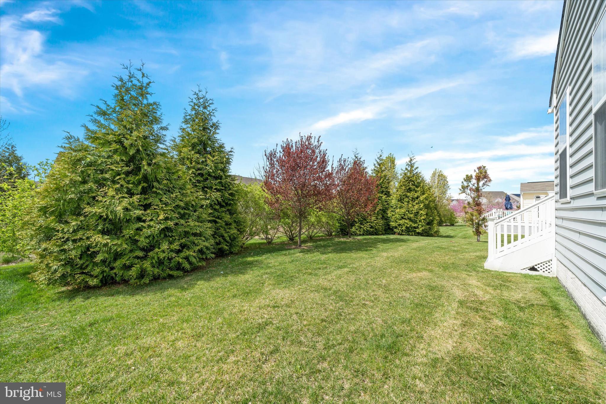 424 Winterberry Drive Middletown, DE 19709 - Photo 42 of 43 a view of a big yard with large trees