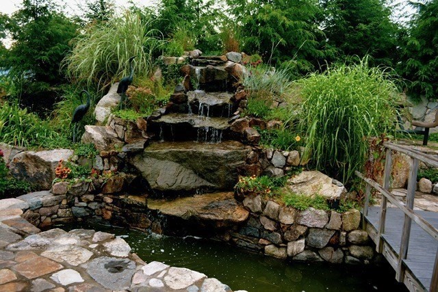 42 Pine Acres Road Foxboro, MA 02035 - Photo 5 of 40 a garden with lots of trees and flowers