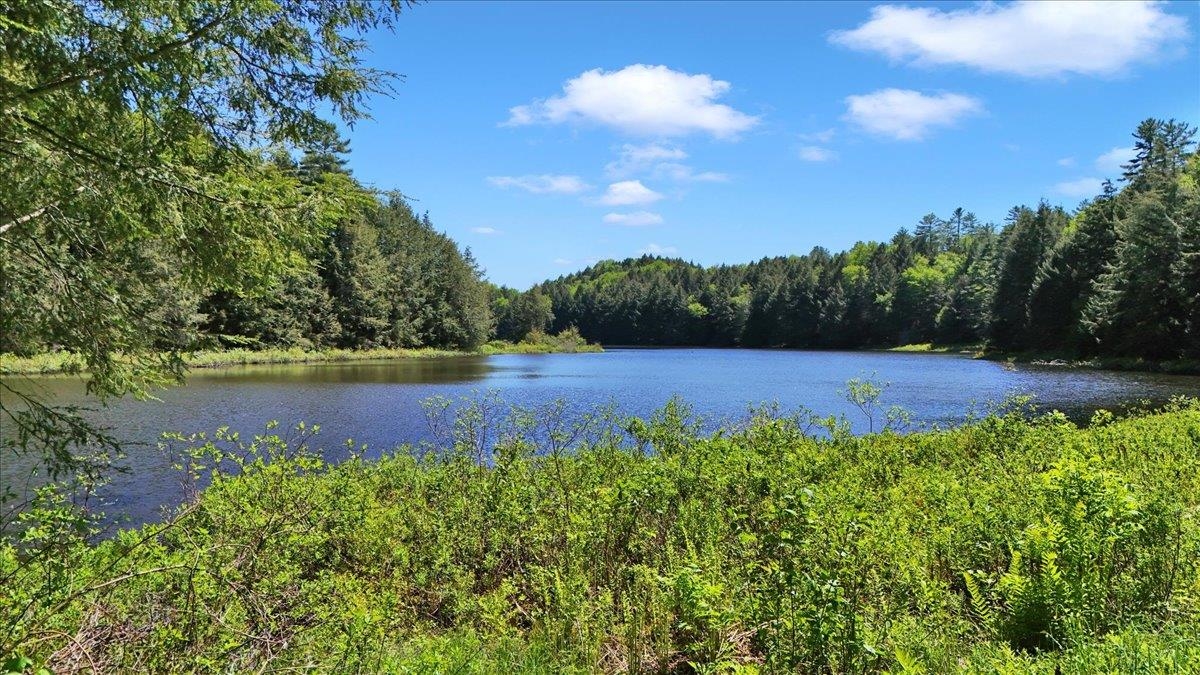 Lot 16 Barnett Road East Calais, VT 05650 - Photo 20 of 26