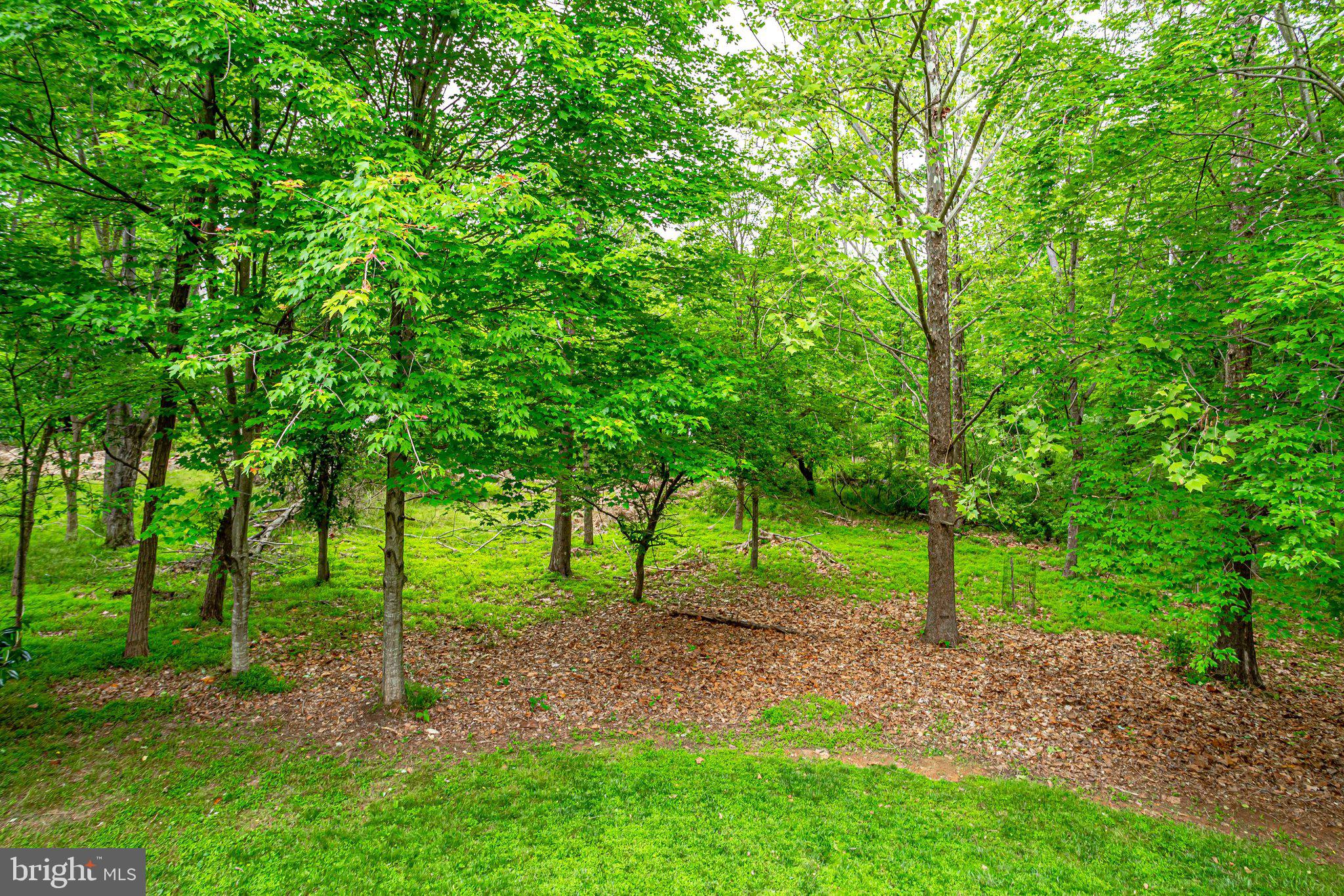 2709 Silver Hammer Way Brookeville, MD 20833 - Photo 65 of 67