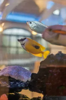 $4,995,000 | 1492 Hunter Drive, Medina, MN 55391