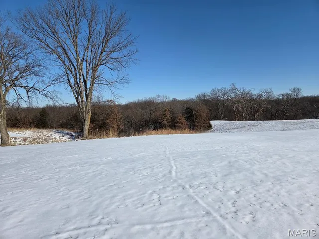 $29,000 | 0 State Highway, Kahoka, MO 63445