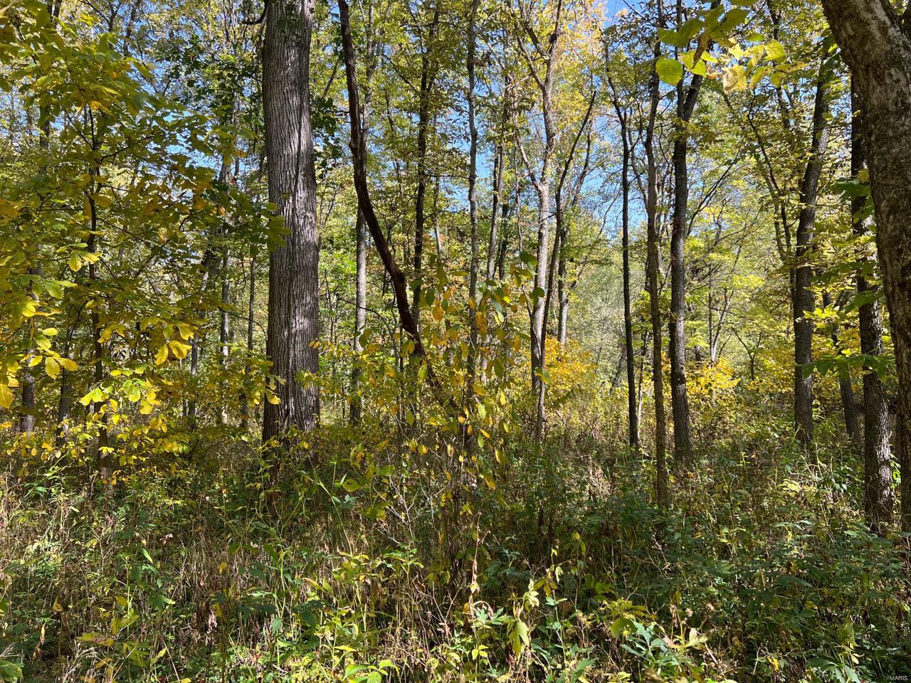 0 North Oakley Road Argenta, IL 62501 - Photo 19 of 55 Gallery Image 19