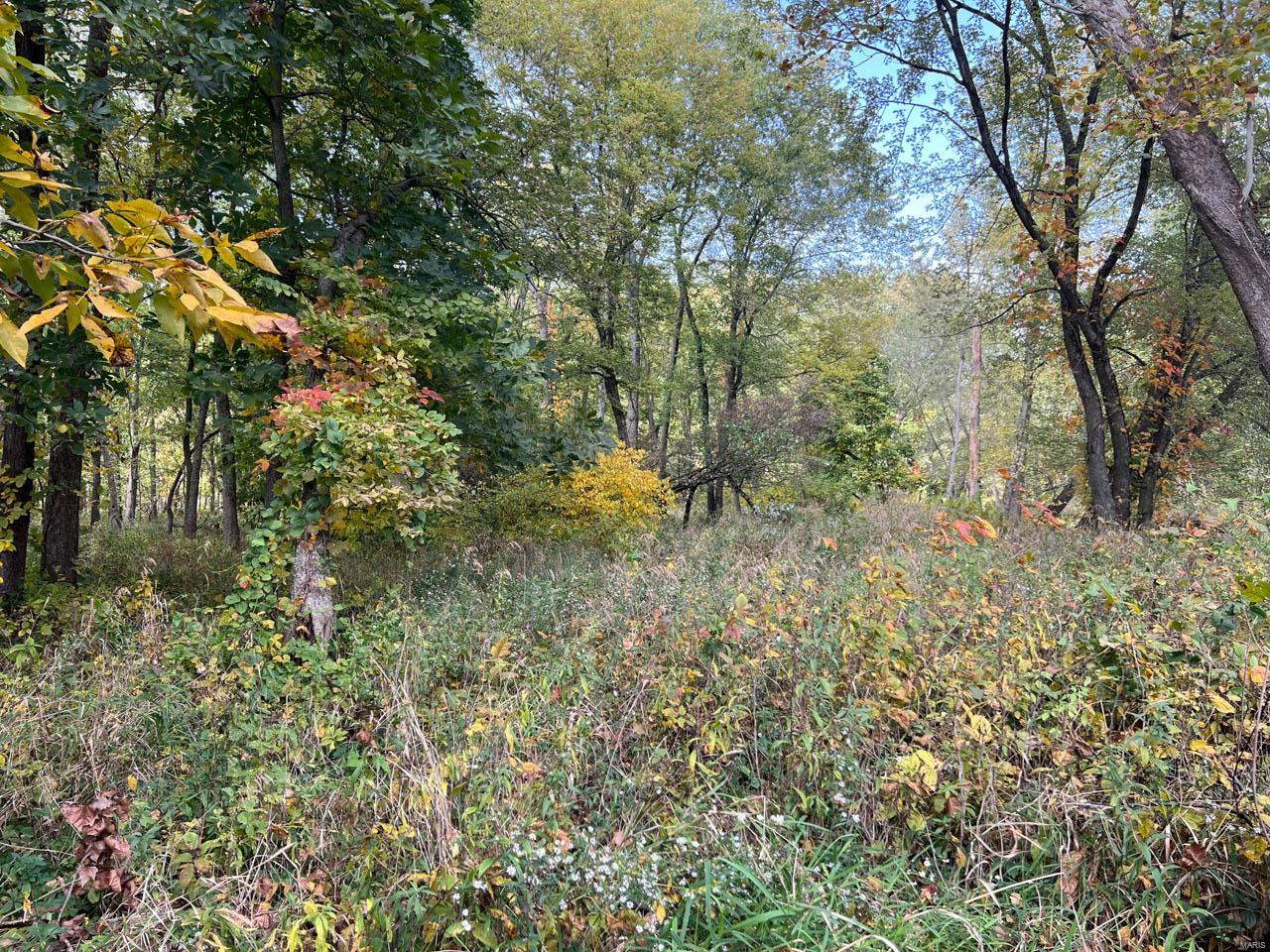 0 North Oakley Road Argenta, IL 62501 - Photo 38 of 55 Gallery Image 38