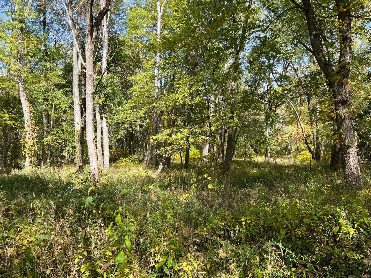 0 North Oakley Road Argenta, IL 62501 - Photo 41 of 55 Gallery Image 41