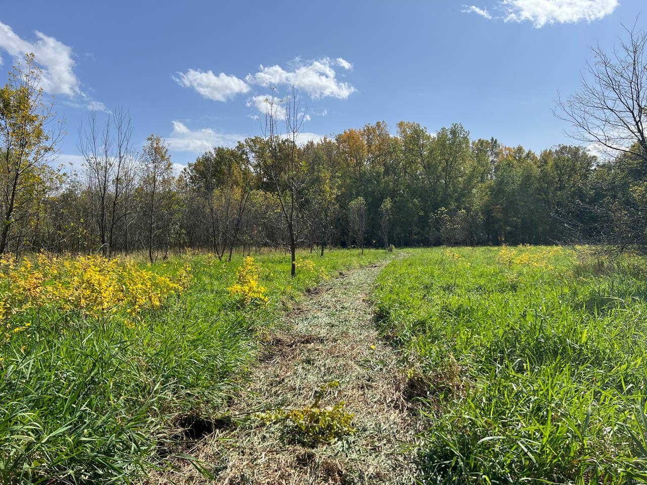 0 North Oakley Road Argenta, IL 62501 - Photo 54 of 55 Gallery Image 54