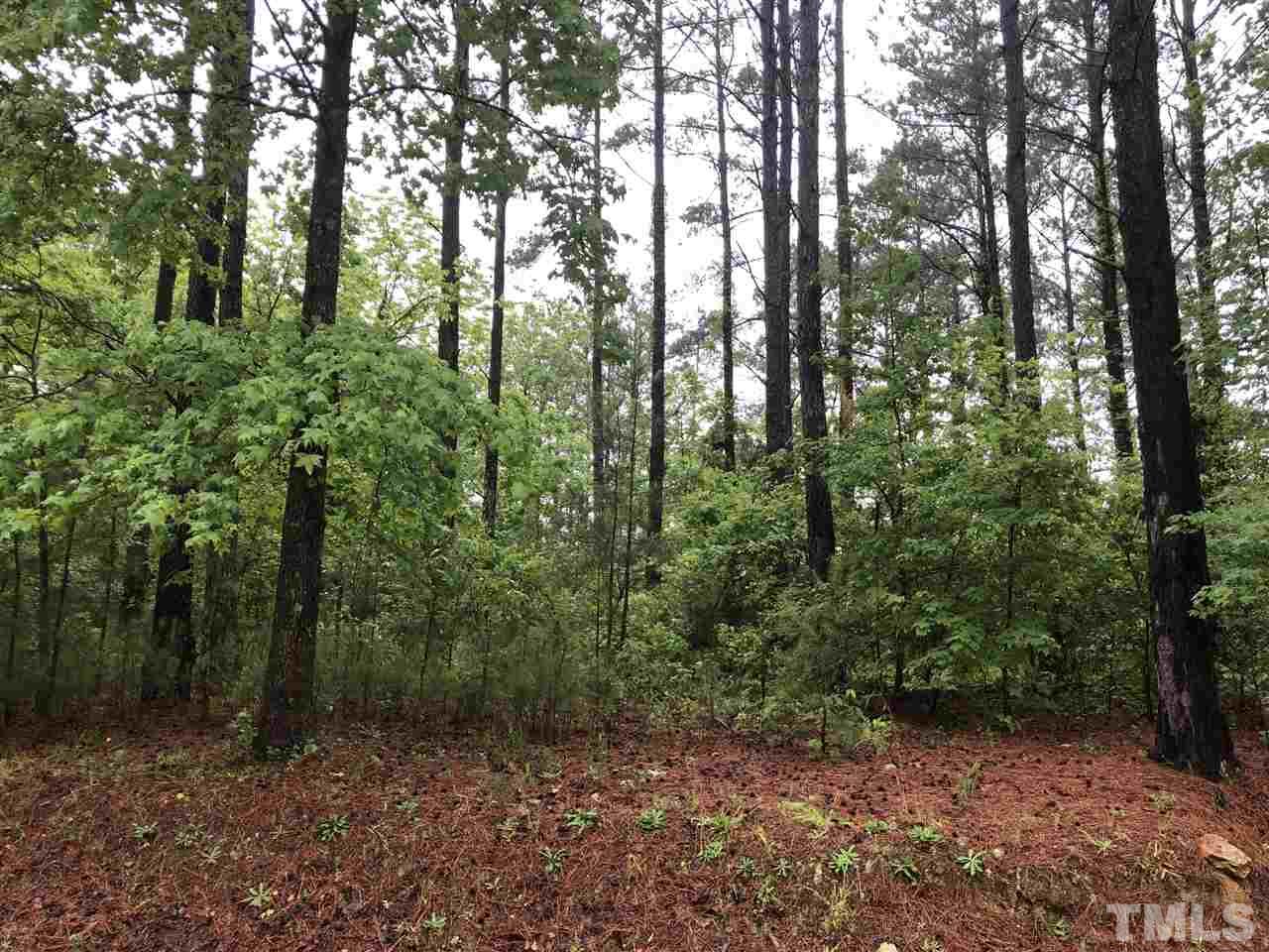 8292 Pine Wood Road Middlesex, NC 27557 - Photo 2 of 7