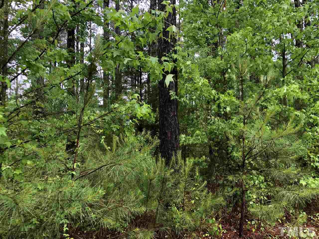 8292 Pine Wood Road Middlesex, NC 27557 - Photo 3 of 7