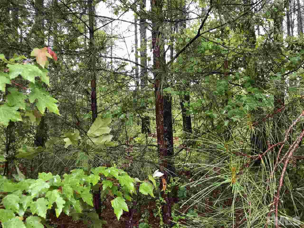 8292 Pine Wood Road Middlesex, NC 27557 - Photo 4 of 7