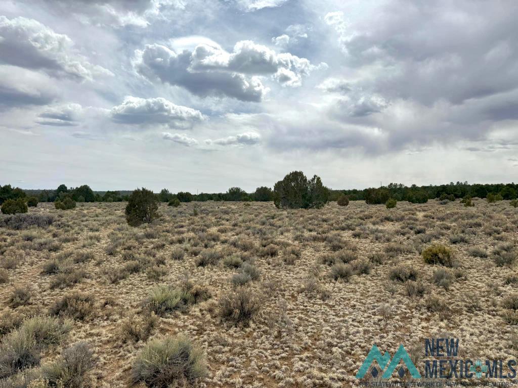 16 Five Five Gate Road Pinehill, NM 87357 - Photo 10 of 15
