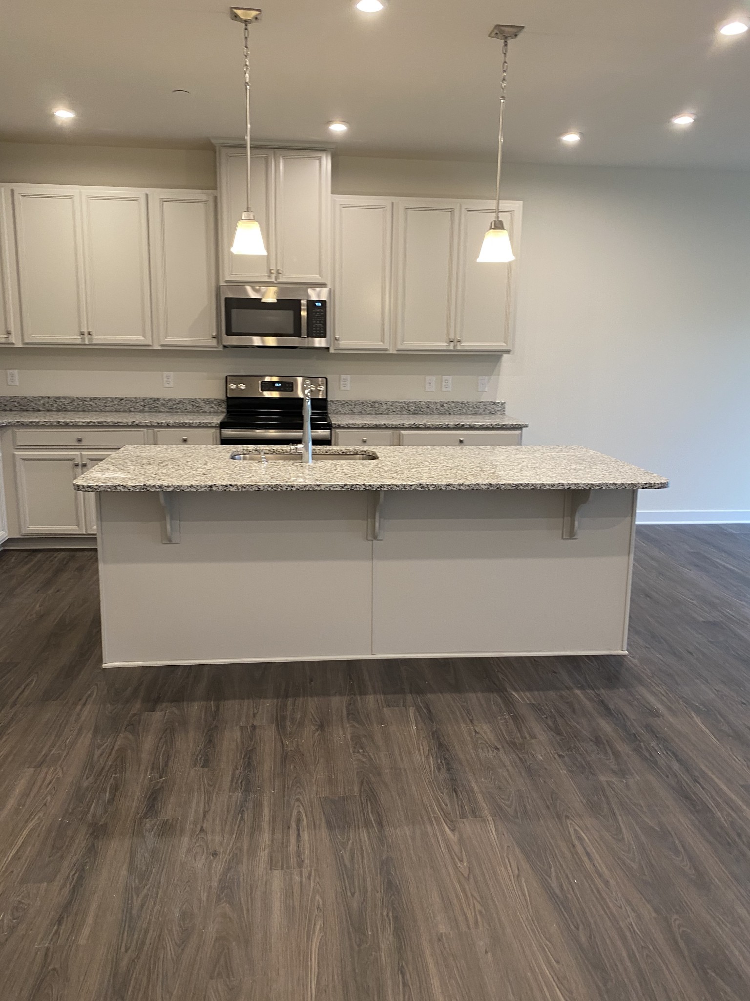 110 Keelon Gap Road, Unit 104C Spring Hill, TN 37174 - Photo 9 of 22 a view of kitchen with granite countertop stainless steel appliances sink and wooden floor