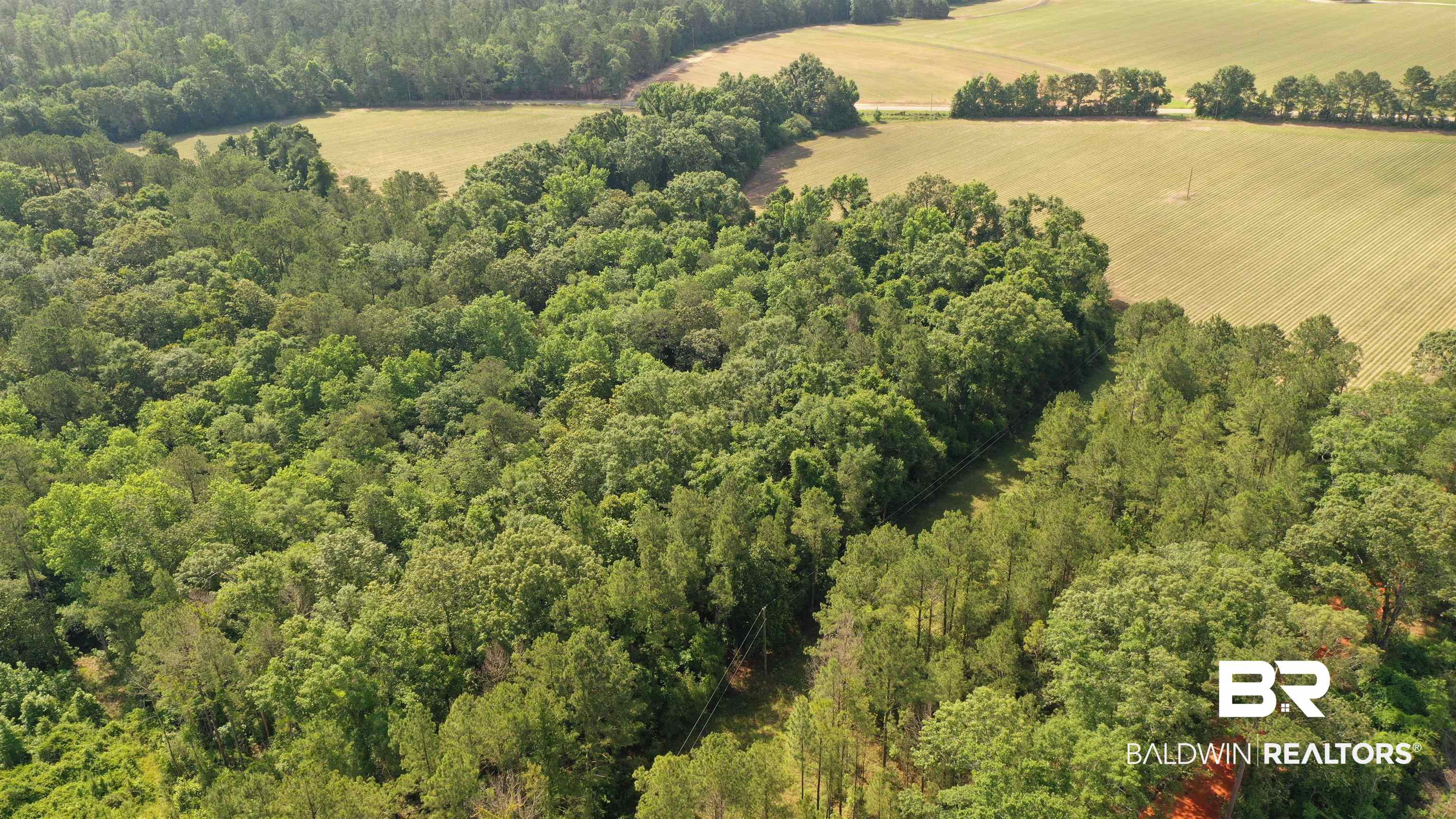 1 Travis Road Brewton, AL 36426 - Photo 15 of 28