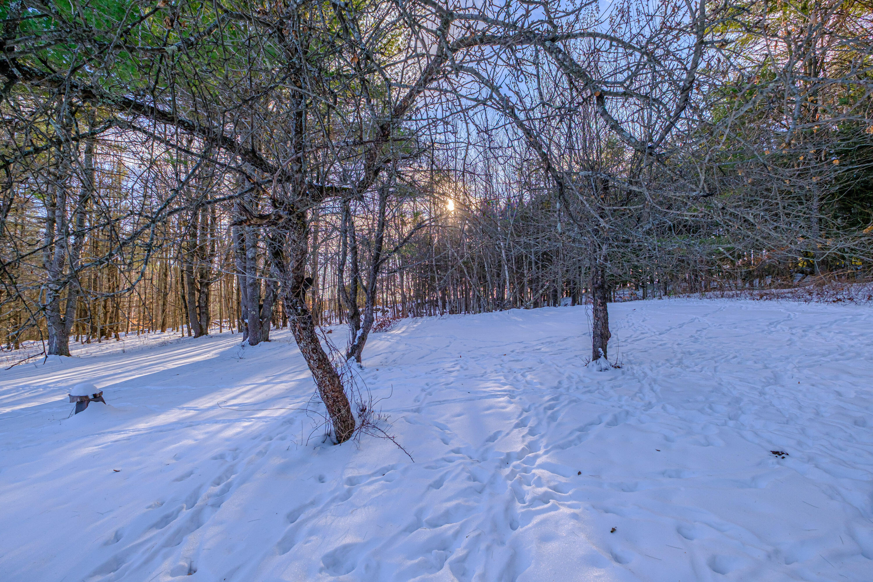 159 Bisco Road Paris, ME 04281 - Photo 44 of 55 20251218gp-64060