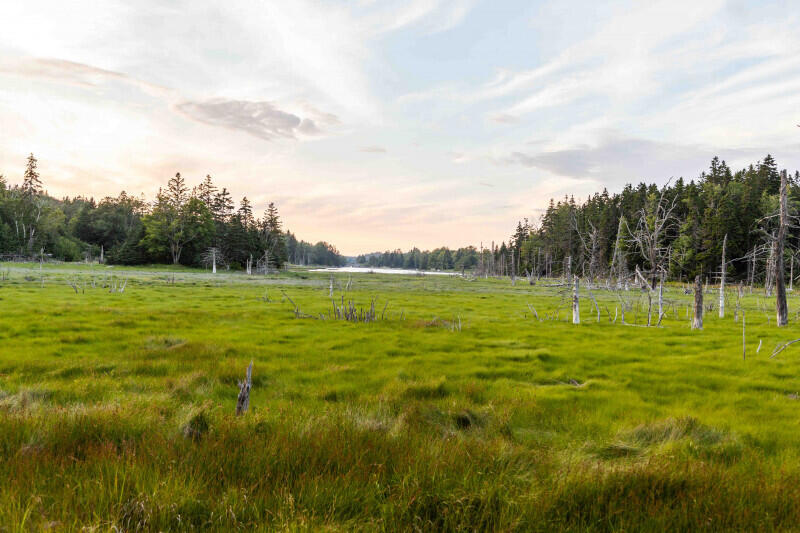 263 North Haven Road Vinalhaven, ME 04863 - Photo 31 of 31 S31