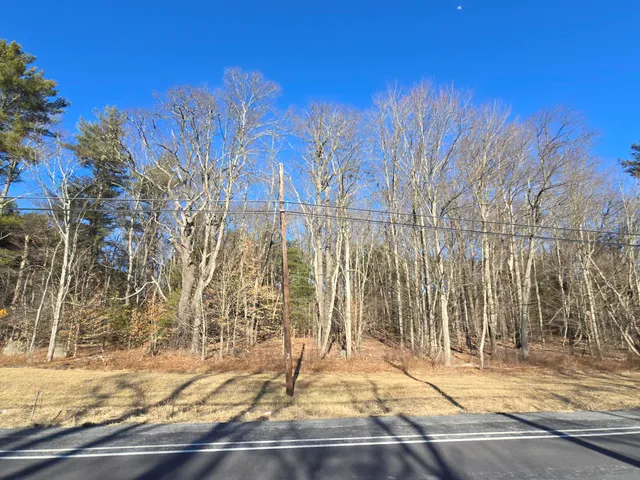 a view of yard with tree in background