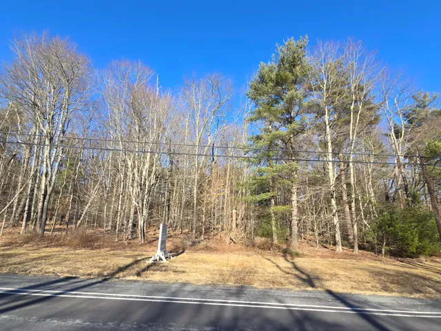 a view of a yard with large tree