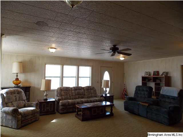 225 Plain View Drive Oneonta, AL 35121 - Photo 3 of 29 Gallery Image 3
