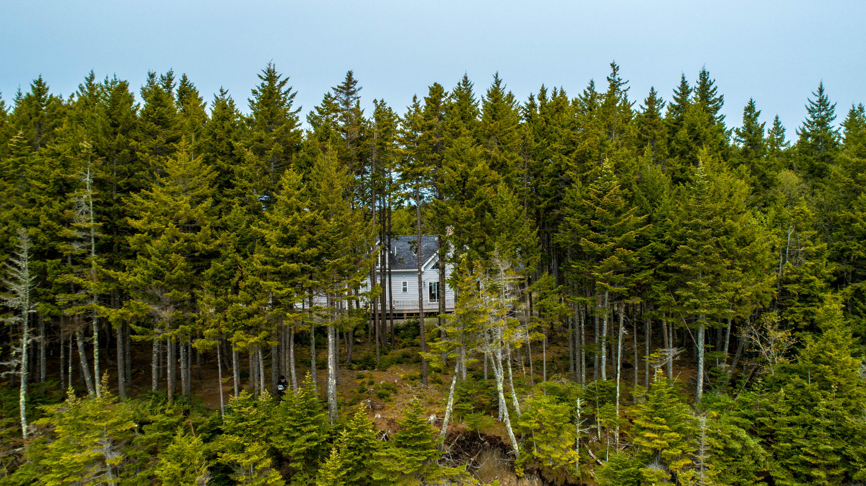 274 Nepp Point Road Roque Bluffs, ME 04654 - Photo 11 of 42 2019 May 31 274 Nepp Pt Road Roque Bluff