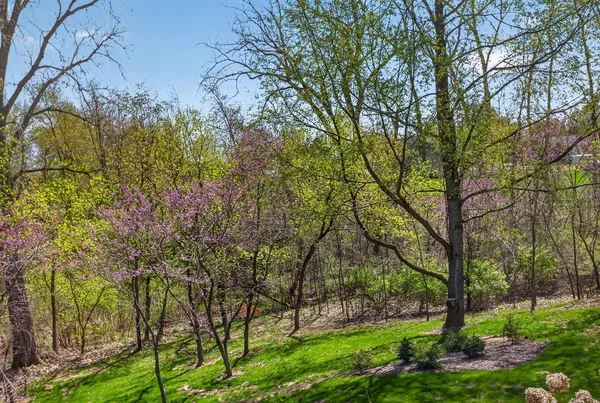 $499,900 | 14840 Killorglin Lane, Cement City, MI 49233