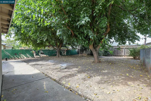 a view of a yard with plants and trees