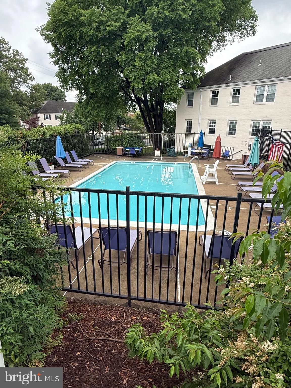 2902 13th Road South, Unit 4021 Arlington, VA 22204 - Photo 14 of 14 Tranquil poolside retreat awaits.