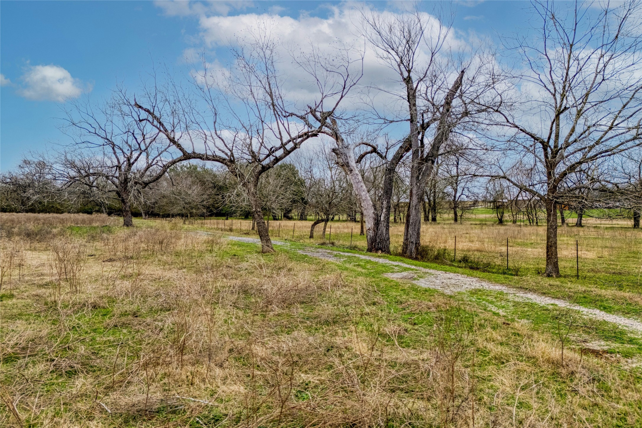 103 Robin Lane Luling, TX 78648 - Photo 30 of 40