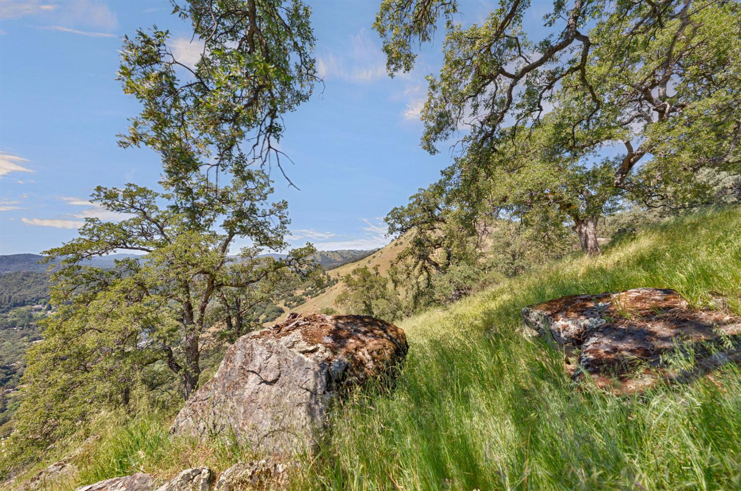 0 Bayne Road Garden Valley, CA 95633 - Photo 30 of 67 Gallery Image 30