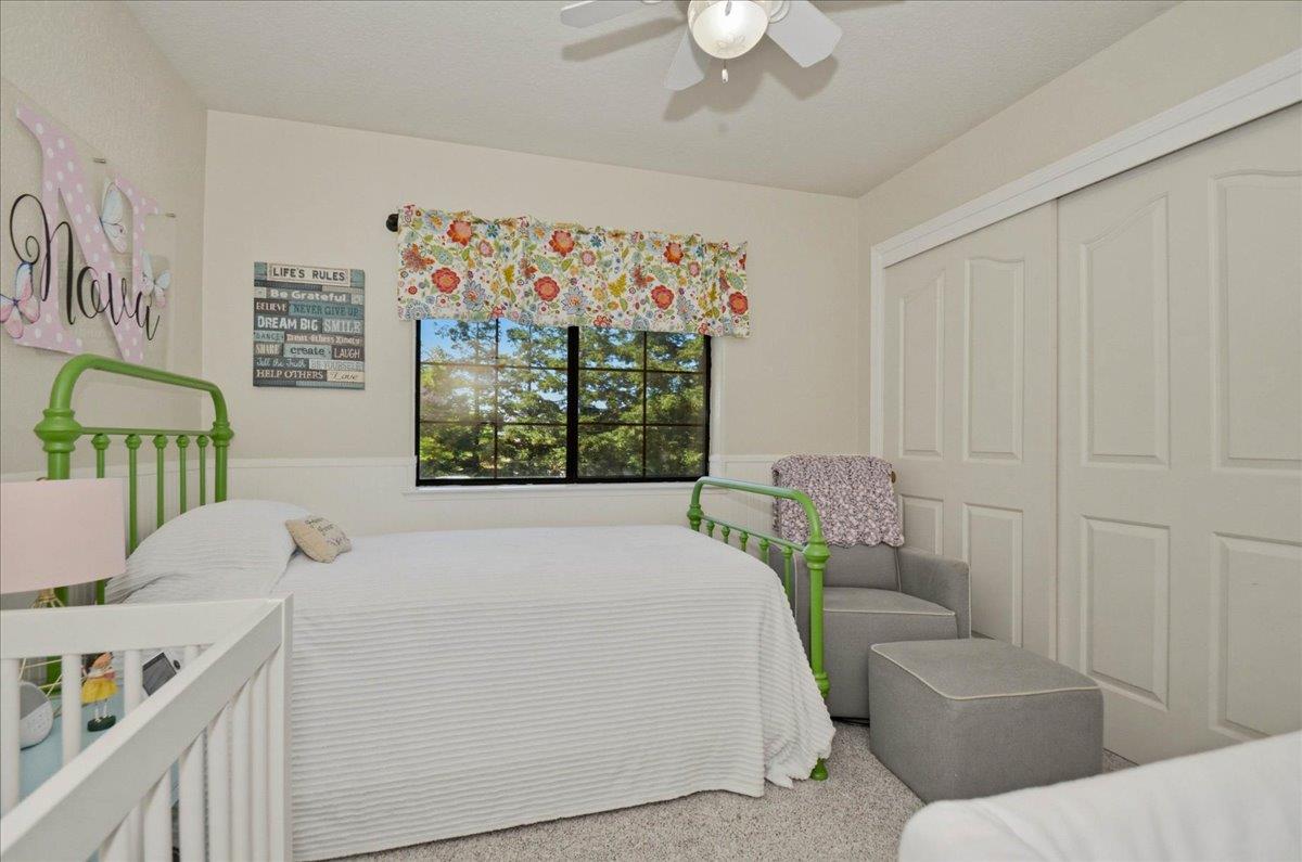 320 Gopher Flat Road Sutter Creek, CA 95685 - Photo 48 of 86