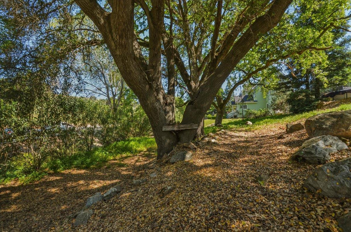 320 Gopher Flat Road Sutter Creek, CA 95685 - Photo 75 of 89