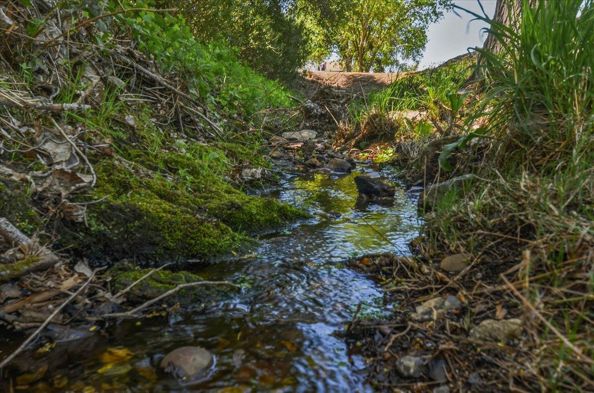 320 Gopher Flat Road Sutter Creek, CA 95685 - Photo 76 of 86