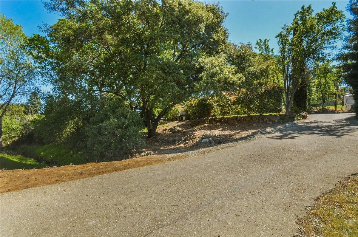 320 Gopher Flat Road Sutter Creek, CA 95685 - Photo 77 of 89