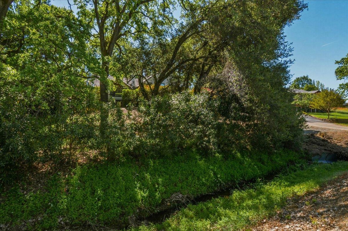320 Gopher Flat Road Sutter Creek, CA 95685 - Photo 78 of 89