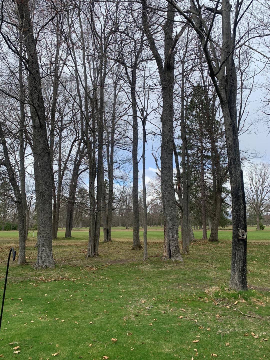 3172 West Lansing Road Roscommon, MI 48653 - Photo 25 of 27 1910394-24.JPG