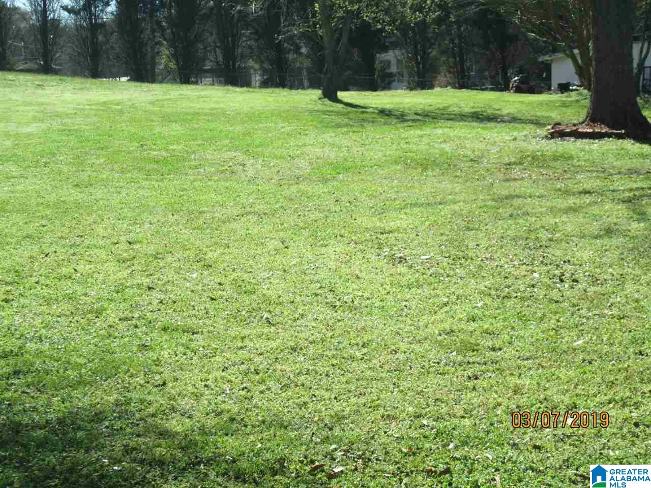 825 Murphrees Valley Road Springville, AL 35146 - Photo 37 of 40