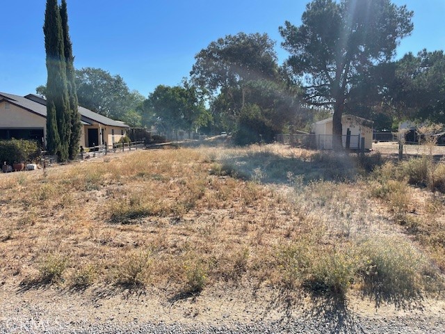 286 North 1st Street Shandon, CA 93461 - Photo 2 of 4 a view of a yard with plants and trees