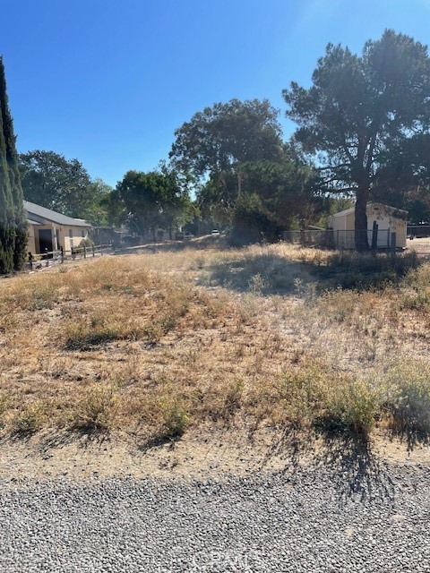 286 North 1st Street Shandon, CA 93461 - Photo 4 of 4 a view of a yard with large trees