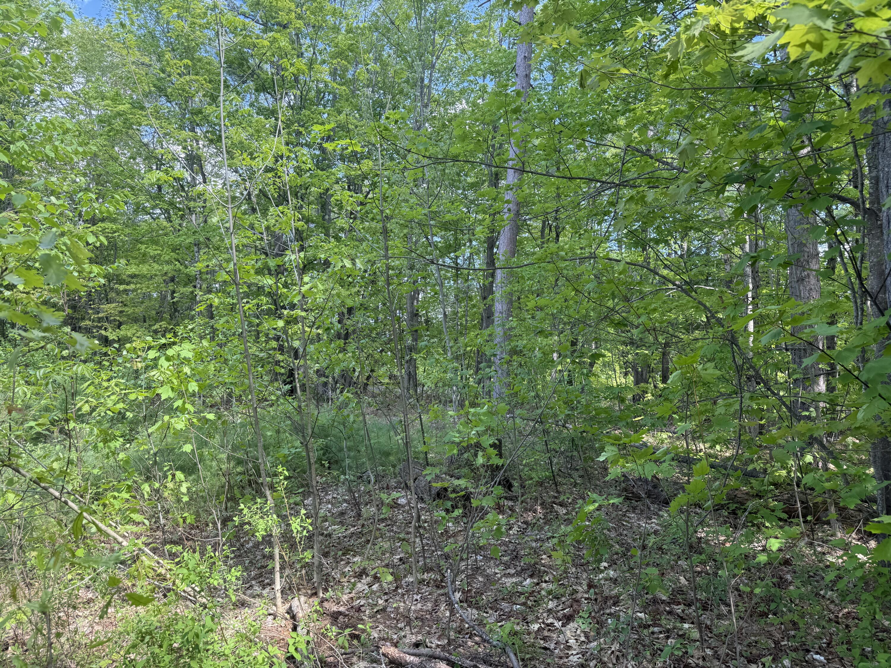 190 Barker Road Bethel, ME 04217 - Photo 8 of 11 IMG_3903