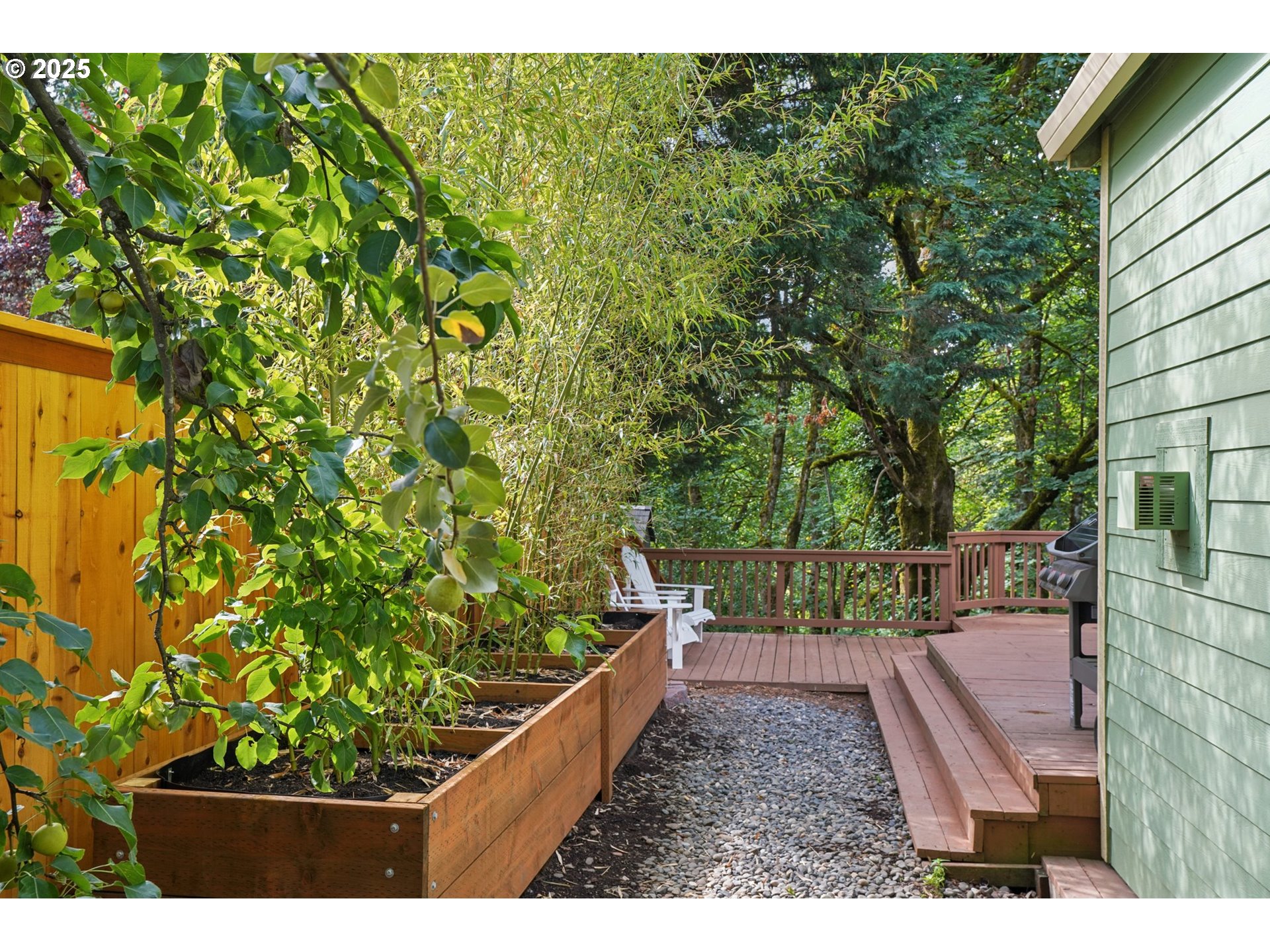 2144 Northwest 22nd Avenue Camas, WA 98607 - Photo 34 of 40 a view of a yard with plants